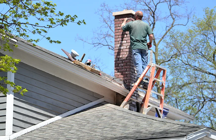 Chimney & Fireplace Inspections Services in Munster, IN